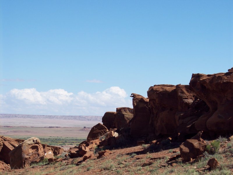 Photograph